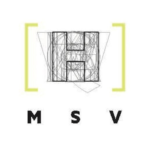 msv-h.com